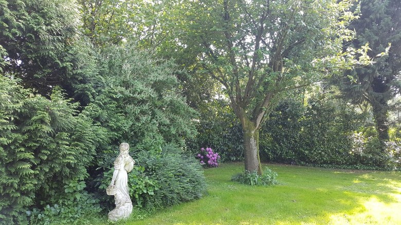 Bed & Breakfast Tuinkamer