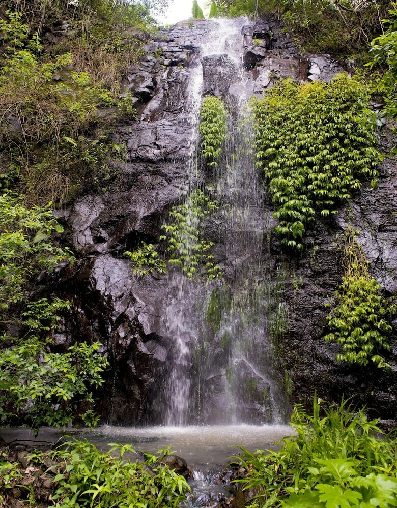 Cabana Nimbin Waterfall Retreat