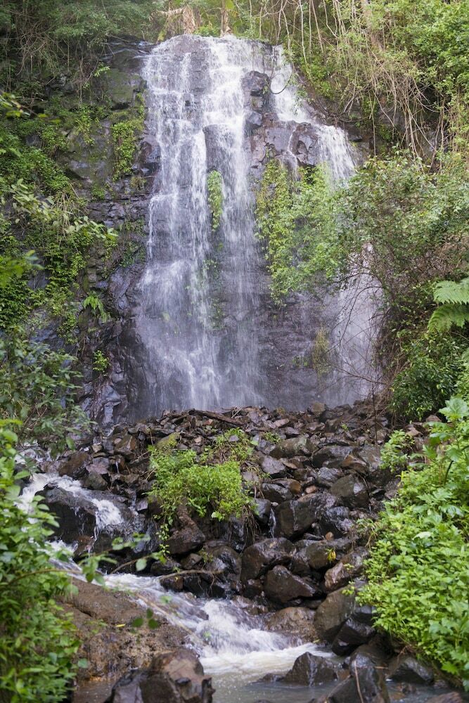 Cabana Nimbin Waterfall Retreat