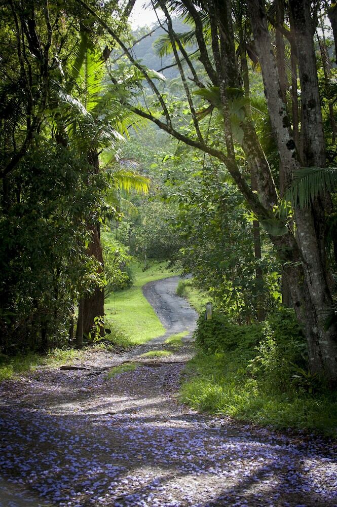 Cabana Nimbin Waterfall Retreat