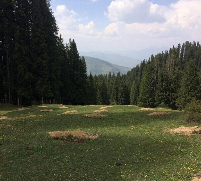Hotel Hassan Valley Retreat