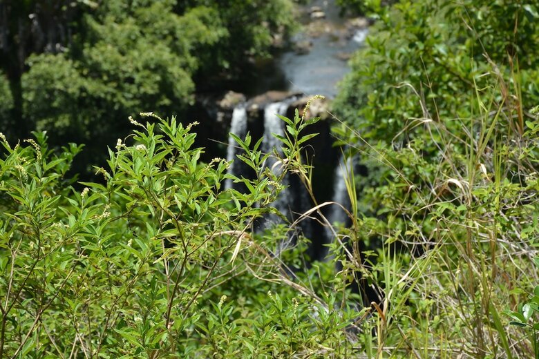 Posada L'exil Lodges
