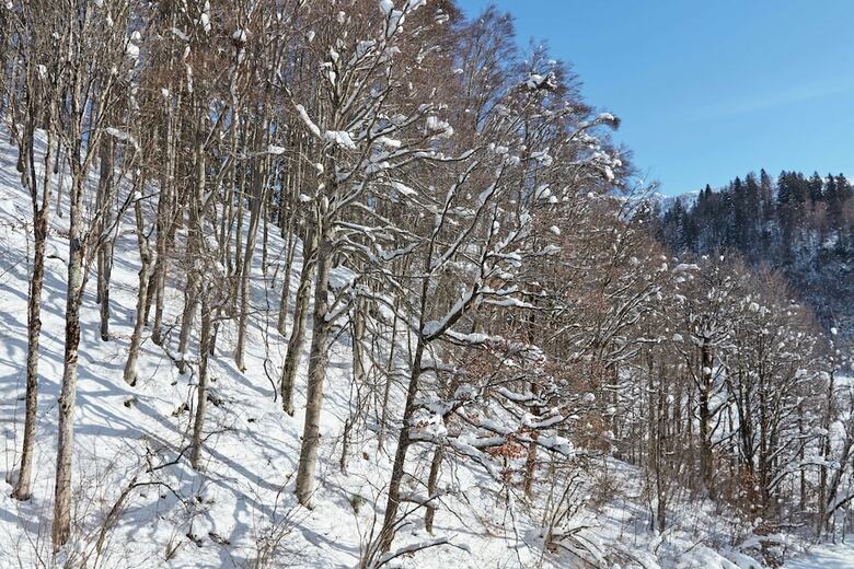 Grand Tirolia Hotel Kitzbuhel, Curio Collection By Hilton