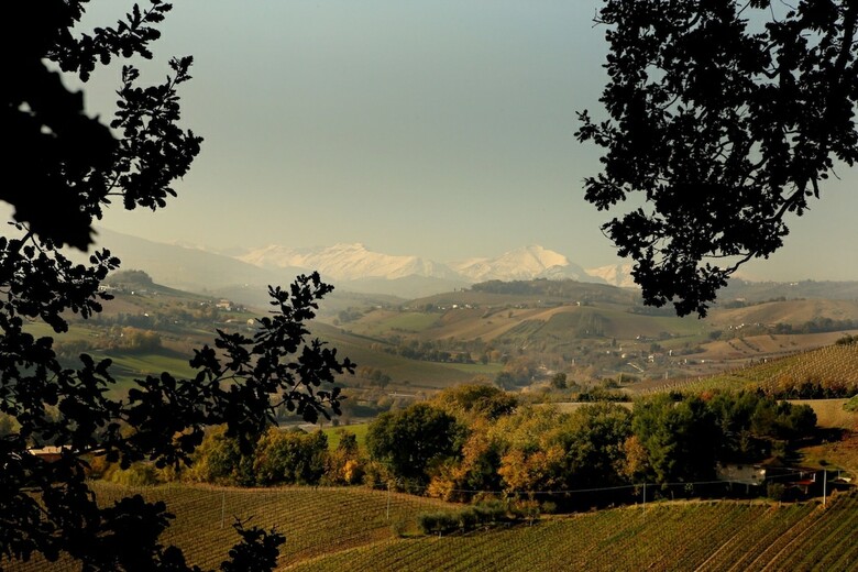 B&B La Casa In Campagna