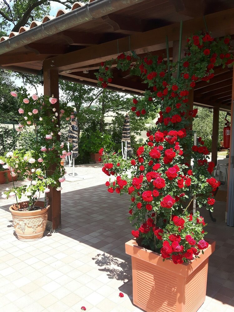 B&B La Casa In Campagna