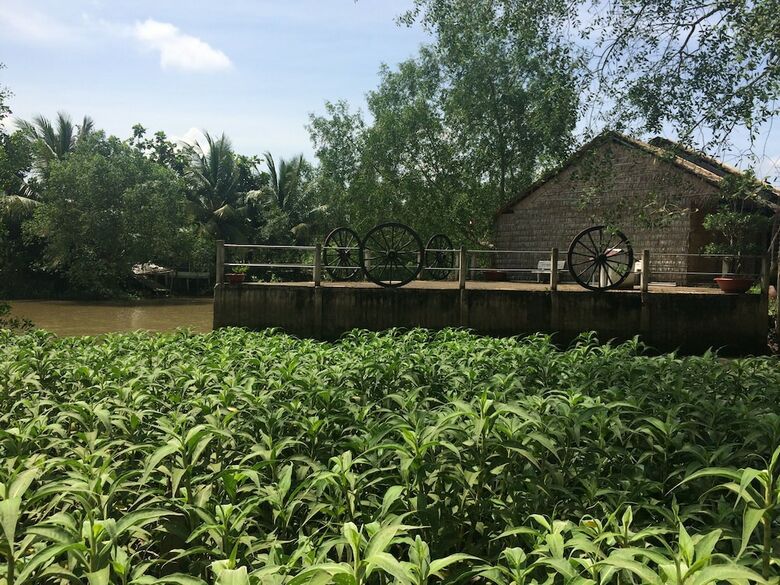 Hostal Hometravel Mekong Can Tho