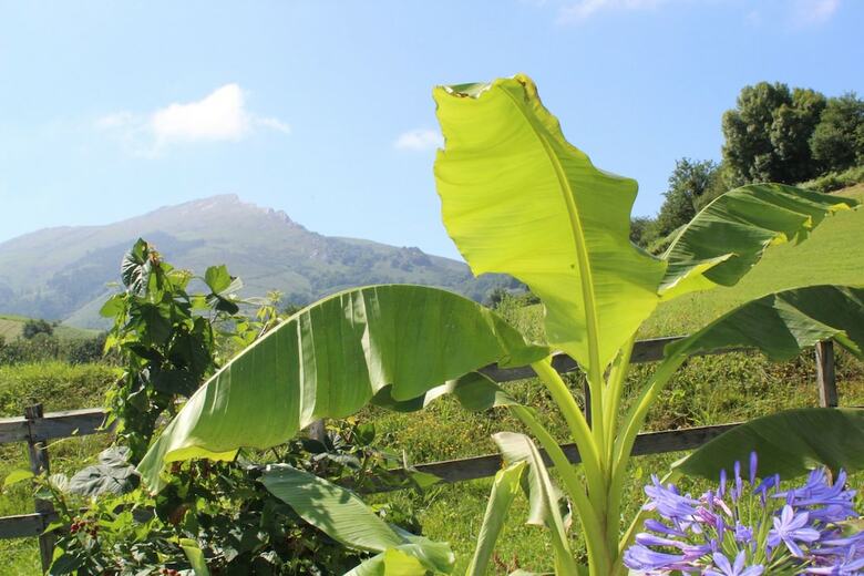Bed & Breakfast Aretxola Maison D'h�tes