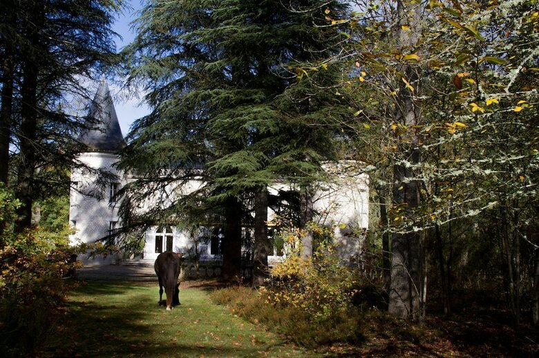 Bed & Breakfast Chateau Du Bas Boulay