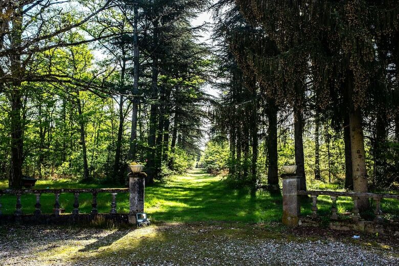 Bed & Breakfast Chateau Du Bas Boulay