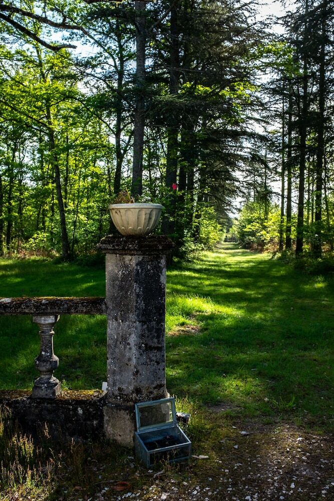 Bed & Breakfast Chateau Du Bas Boulay