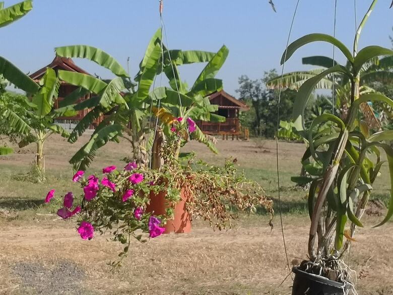 Hotel Pumaka Resort