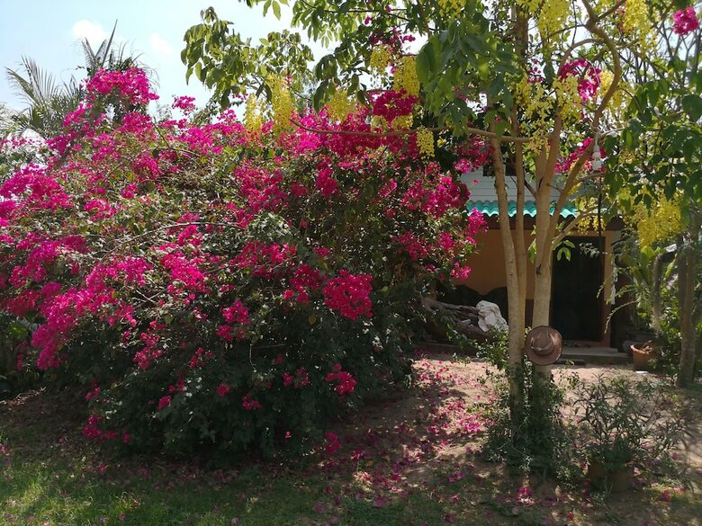 Hotel Pumaka Resort
