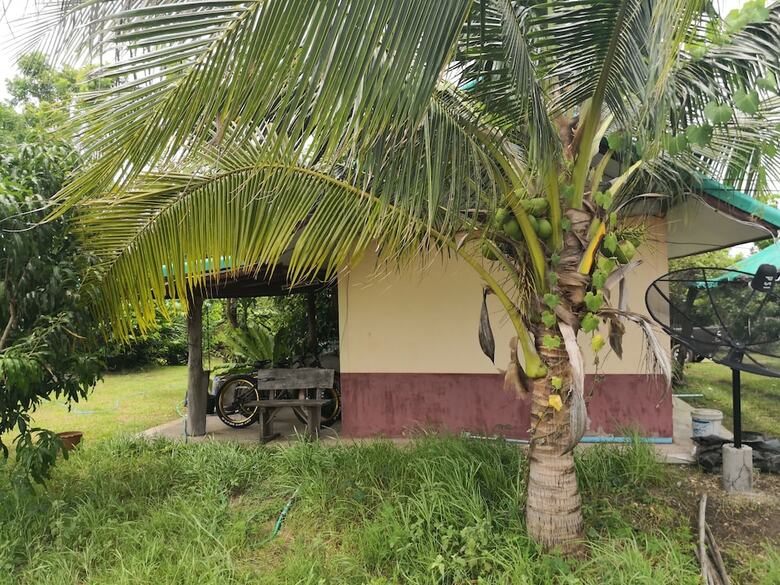 Hotel Pumaka Resort