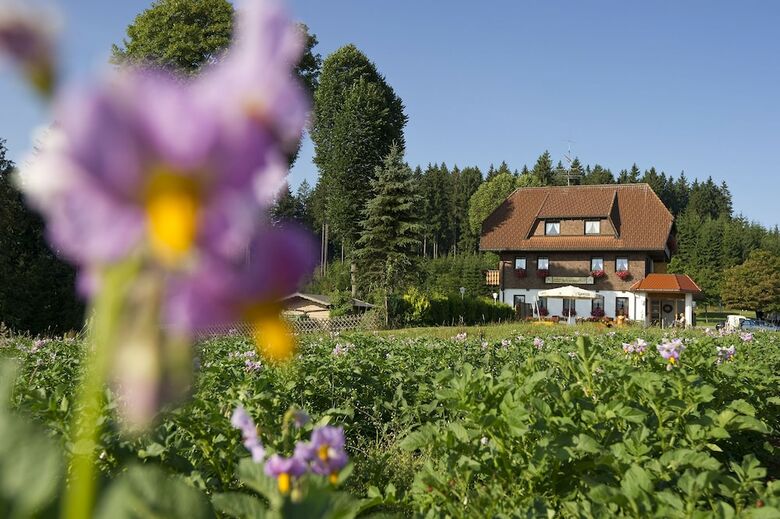 Posada Gasthaus Schweizerhof
