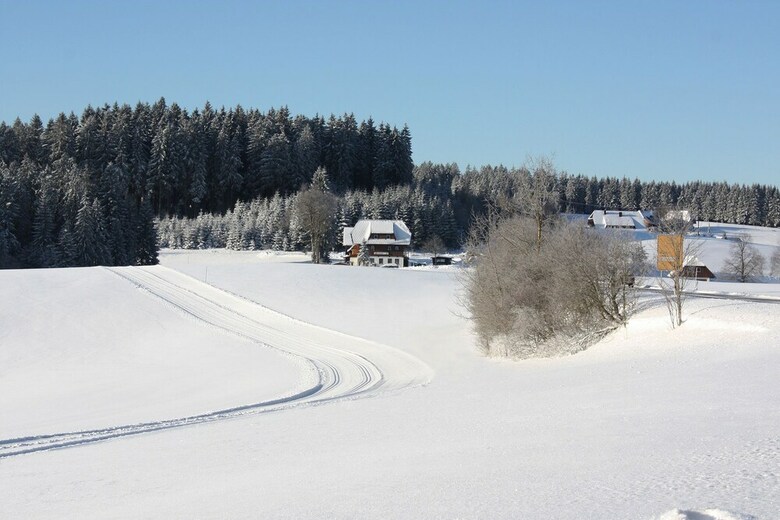 Posada Gasthaus Schweizerhof
