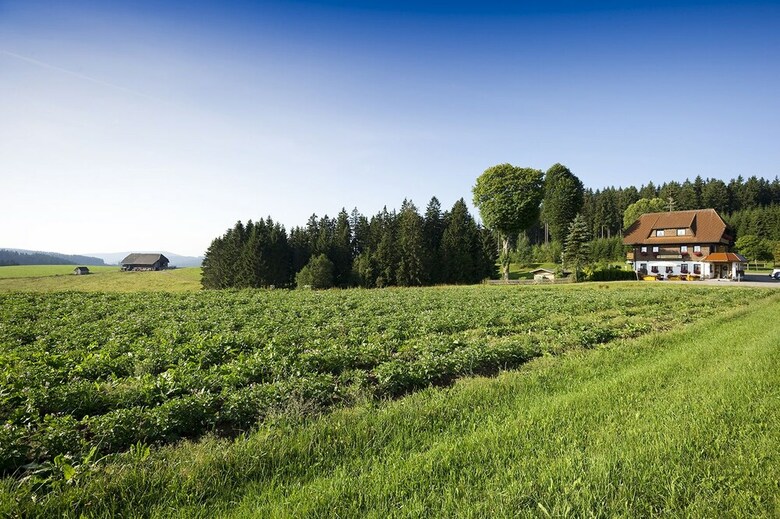 Posada Gasthaus Schweizerhof