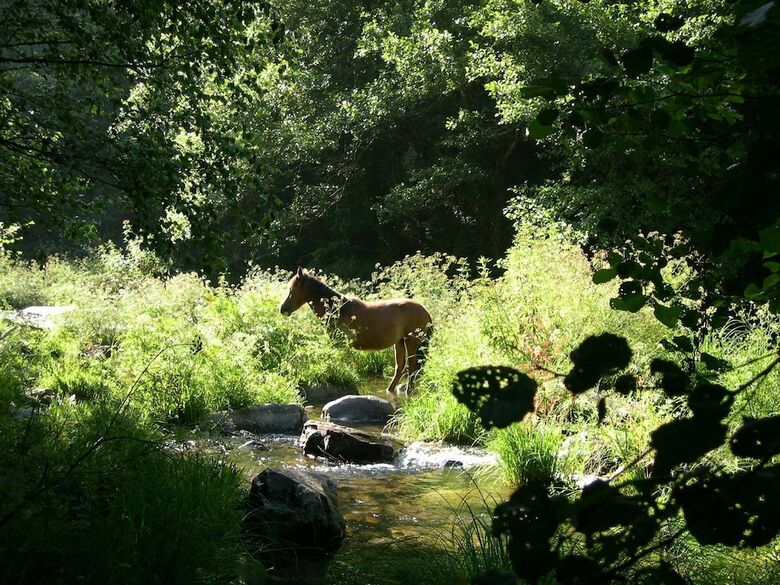 Agroturismo Casas Viduedo