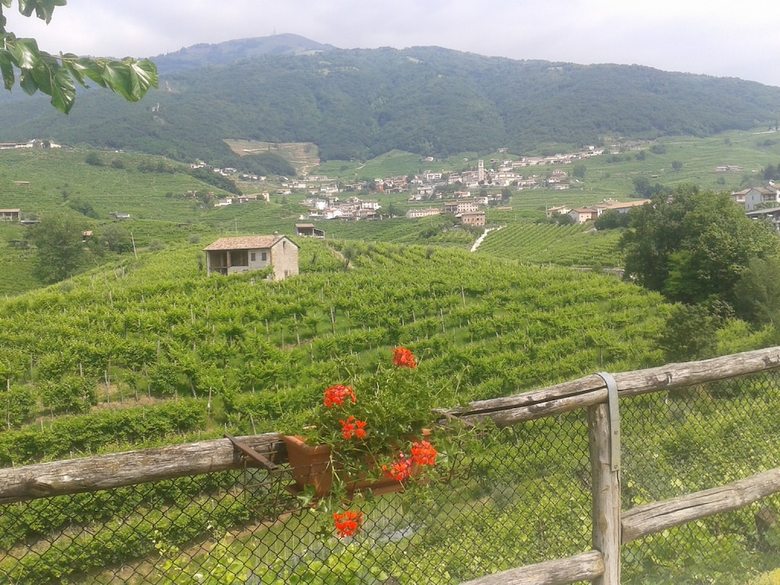 Agroturismo La Casa Vecchia