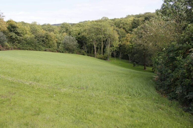 Bed & Breakfast Roe Valley Manor And Estate