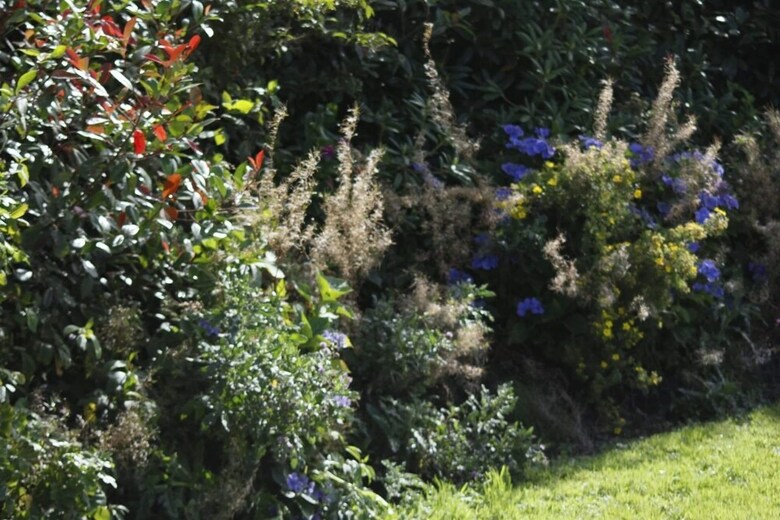 Bed & Breakfast Roe Valley Manor And Estate