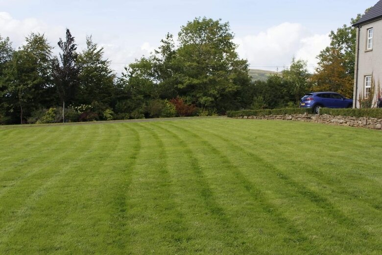 Bed & Breakfast Roe Valley Manor And Estate
