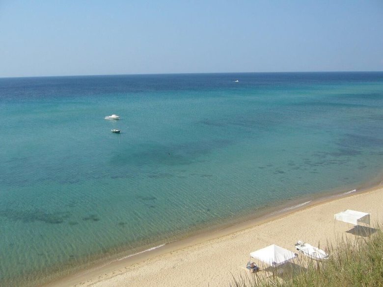 Dama Kamp Alani