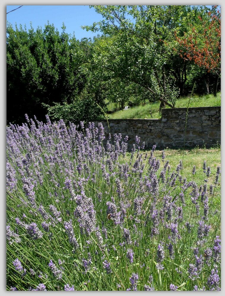 Bed & Breakfast Cascina Luvot