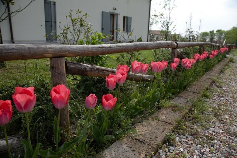Agroturismo Alloggio Corte Benetti