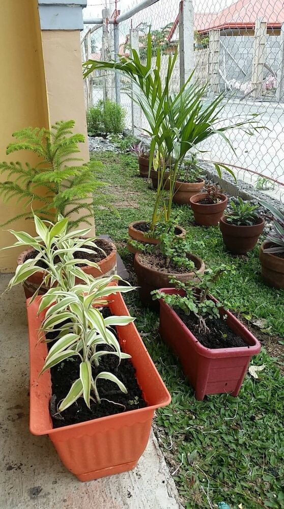 Hotel Jireh's Guests Home