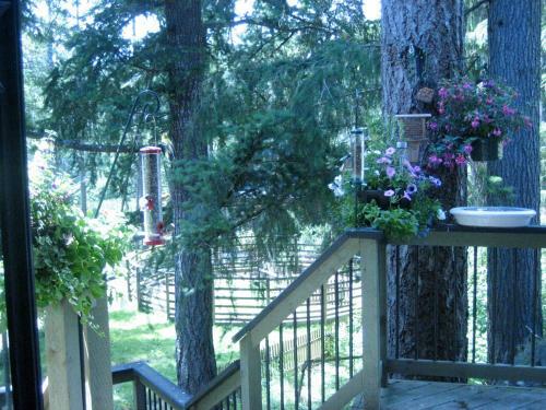 Misty Meadows B&B