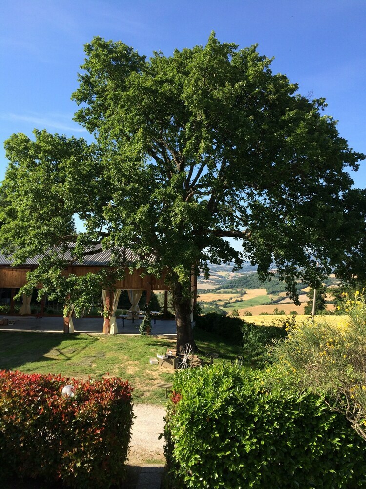 Apartamento Agriturismo Il Pallocco