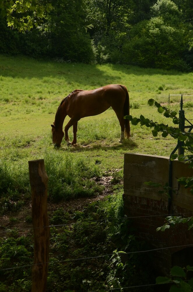 Bed & Breakfast Manoir de Chaussoy