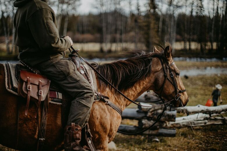 Hotel Big Creek Lodge - Working Guest Ranch