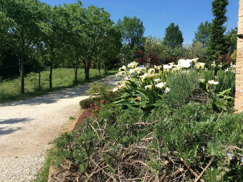 B&B Asolo Casa Pagnano