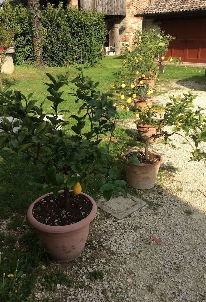B&B Asolo Casa Pagnano