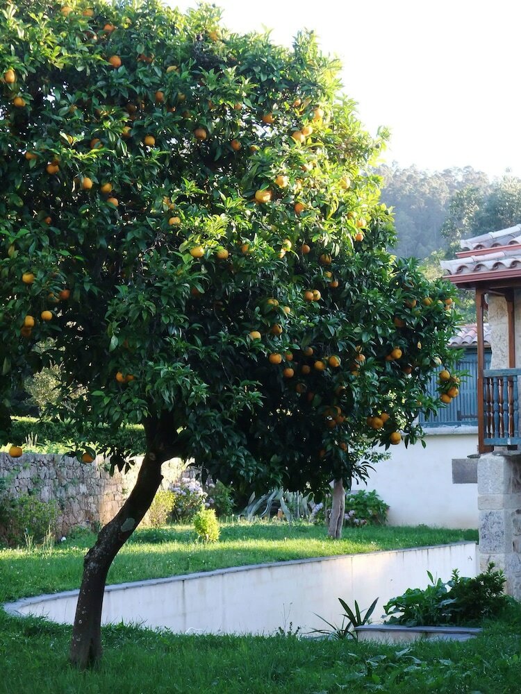 Hotel Casa Rural Pazo Da Cruz
