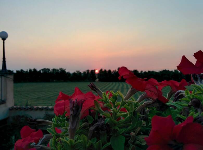Agroturismo B&B & Residence Corte Bebbi