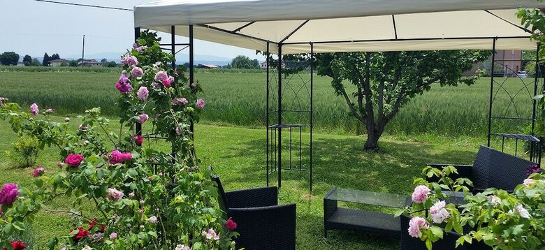 Bed And Breakfast Le Rose
