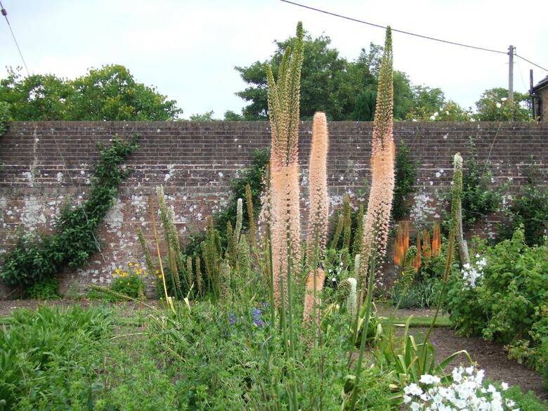 Courtlands Nurseries Bed And Breakfast