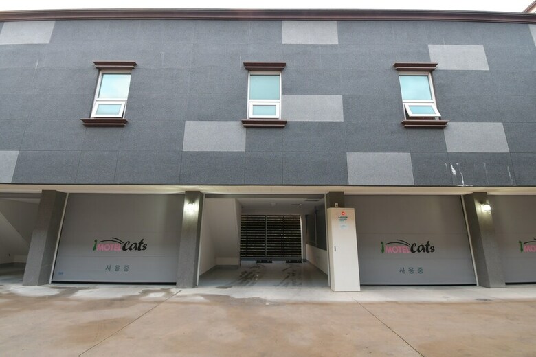 Motel Cats Hotel