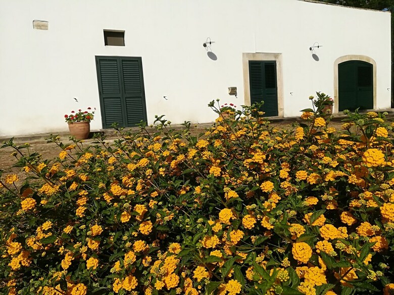 Bed & Breakfast Masseria Fracchicchi