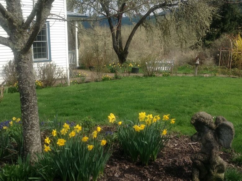 Bed & Breakfast Blue Rooster Inn