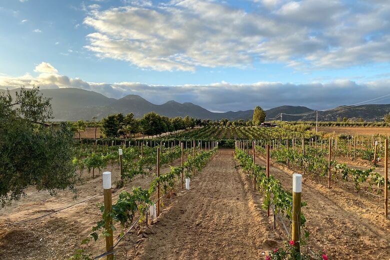 Hotel Villas En Los Reto�os