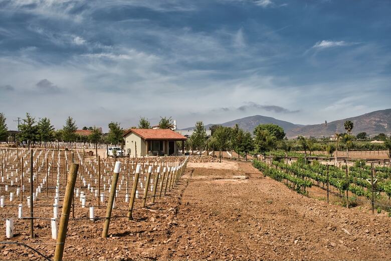 Hotel Villas En Los Reto�os