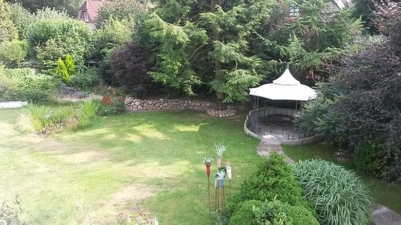 Hotel Pension Hainbuch