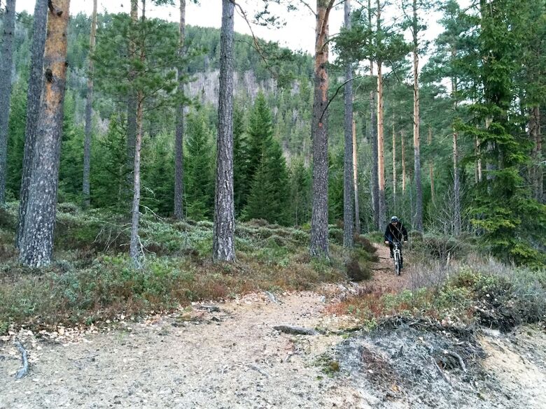 Cabana Nisser Hyttegrend Og Camping