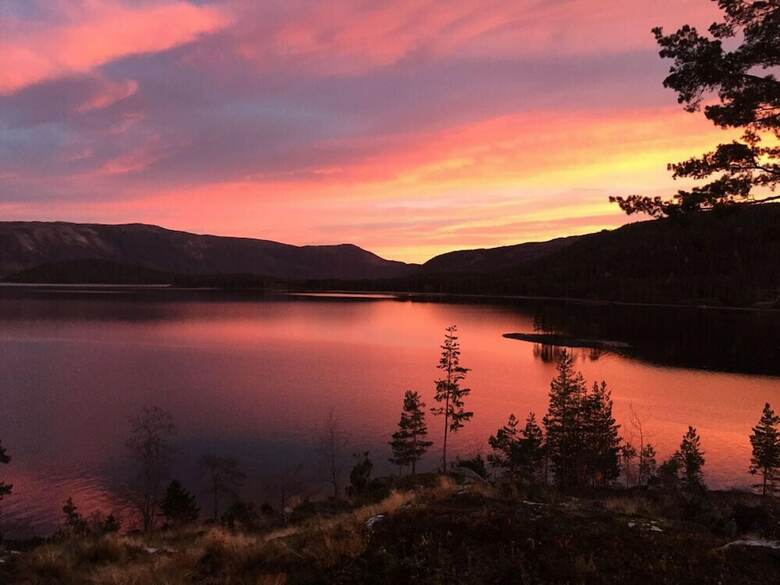 Cabana Nisser Hyttegrend Og Camping