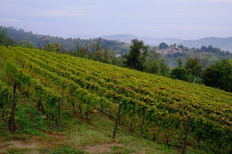 Agroturismo Agriturist Rupestr