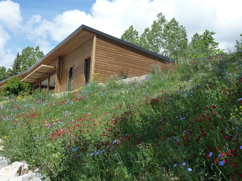 Camping Napol�on