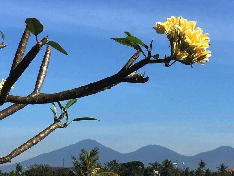 Hotel Bulan Bali Homestay